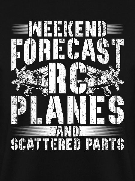 Model aircraft