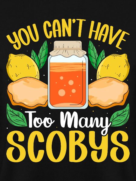 Kombucha Scoby fermented drinks