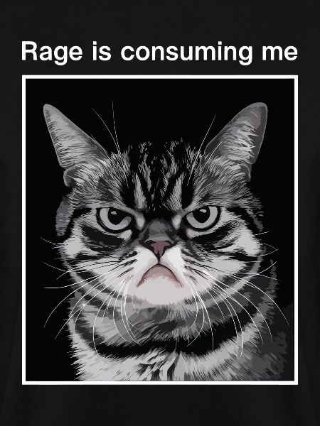 Rage Consumes Me Cat