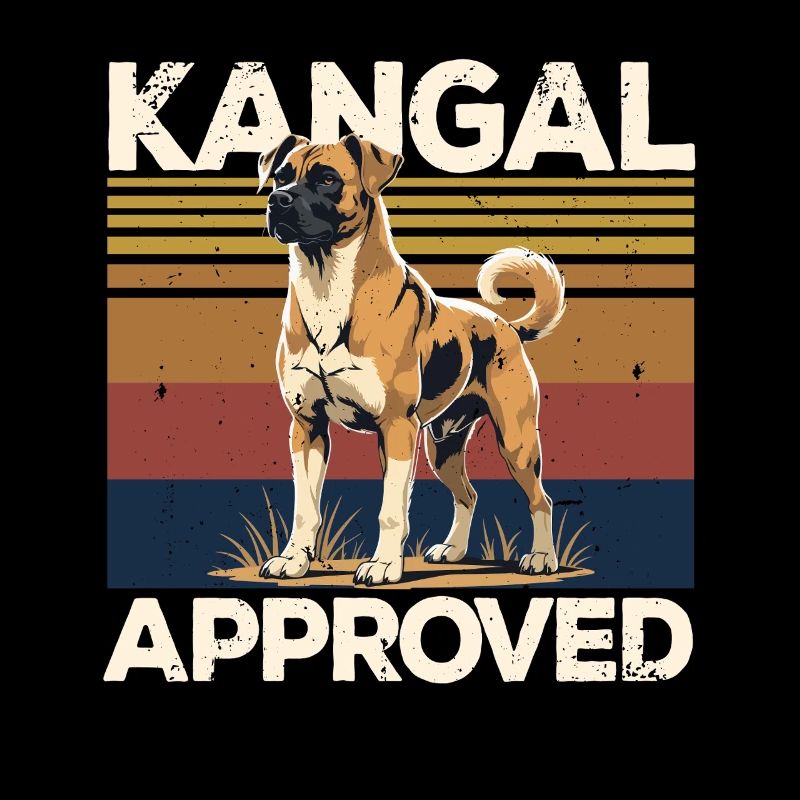 Kangal Chien Approuvé