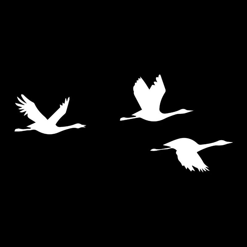 Flying Goose Goose Migratory Birds Grey Goose Gift