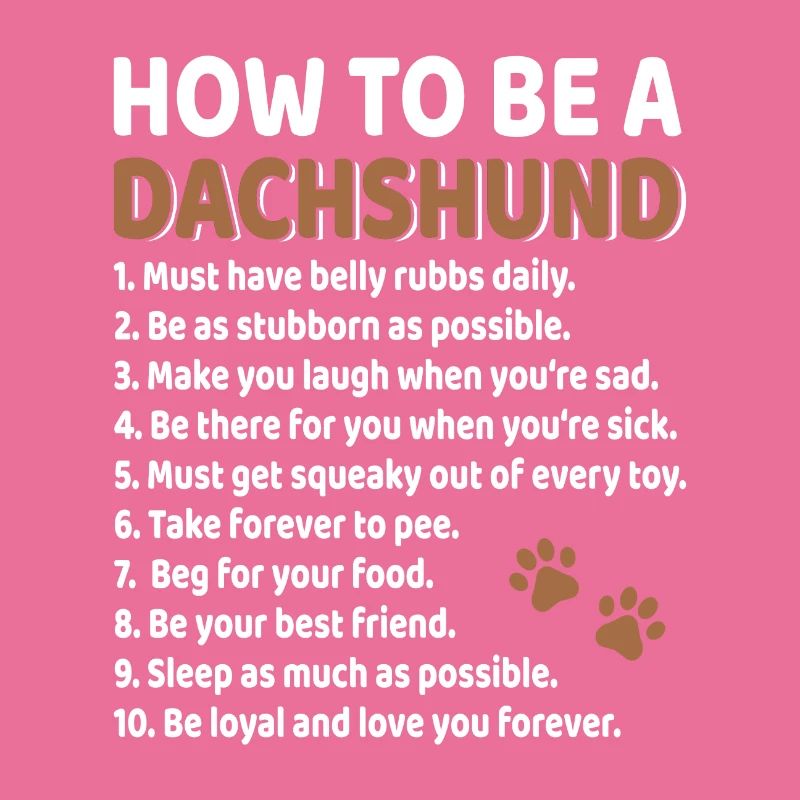 Dachshund