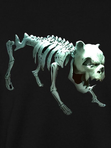 Skelett dog