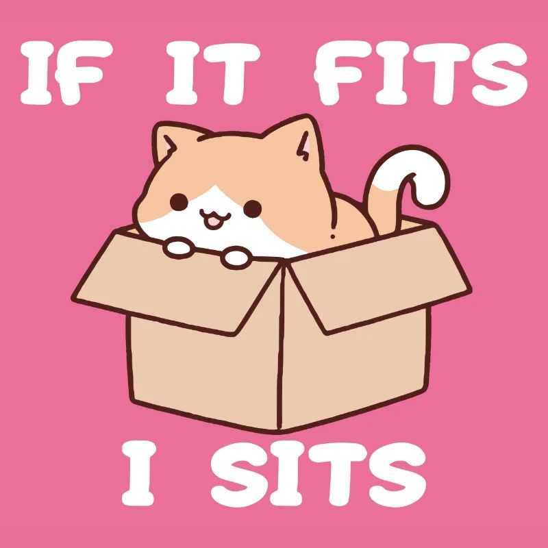 Si ça va, je suis assis chat mignon