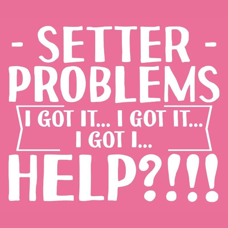 Setter Problems I Got It I Got It I Got It Help4