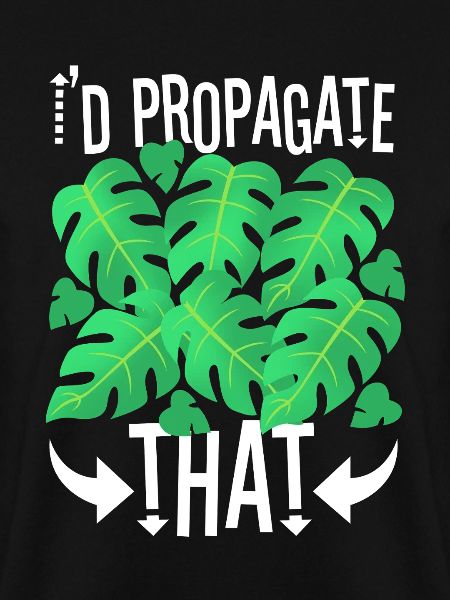 I'd Propagate That