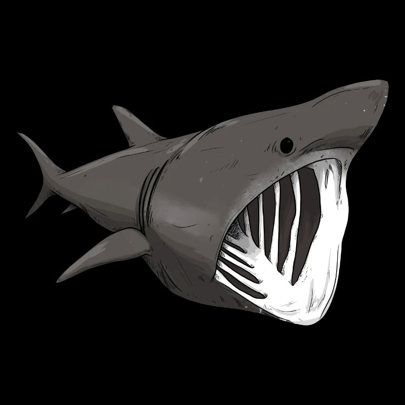 Basking shark