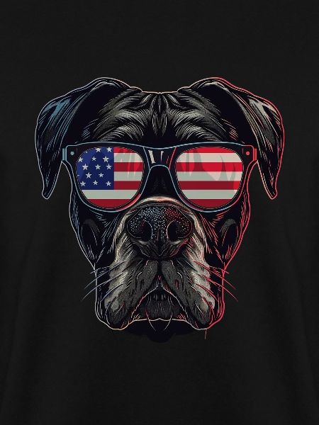 Boxer with American Sunglasses
