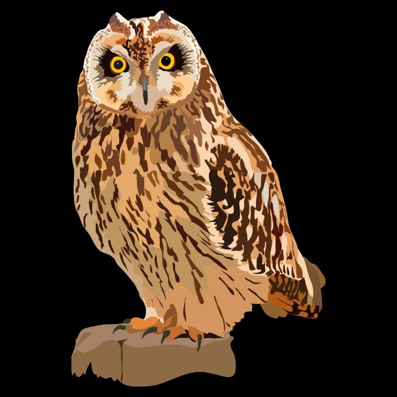 Sumpfohreule