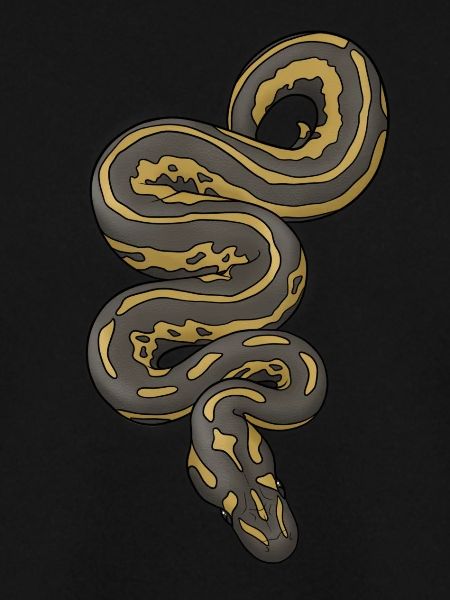Python/Schlange