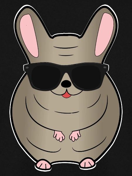 Chinchilla