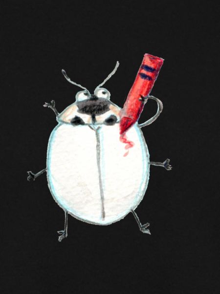 asiatischer Marienkäfer