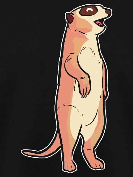 Erdmännchen