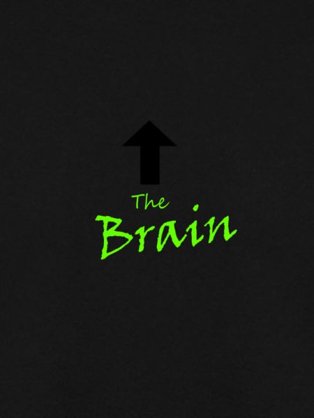 The Brain