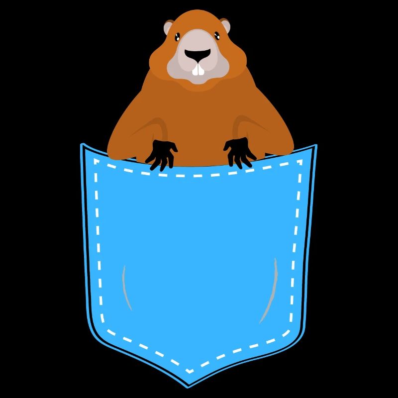 marmotte dans une poche