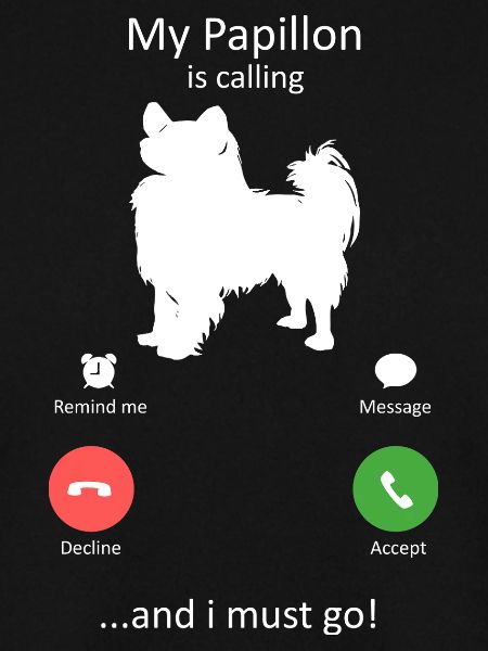 Papillon Dog Calling Smartphone Interface