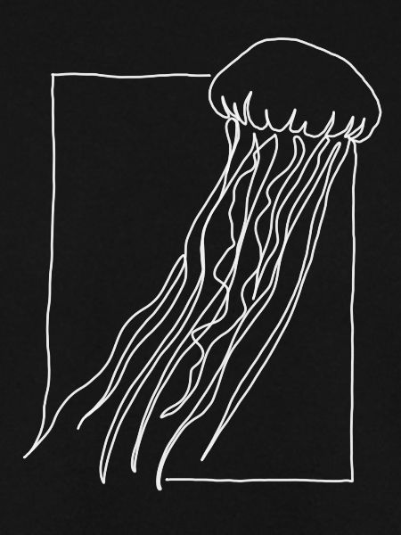 jellyfish