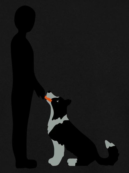 Obedience 3