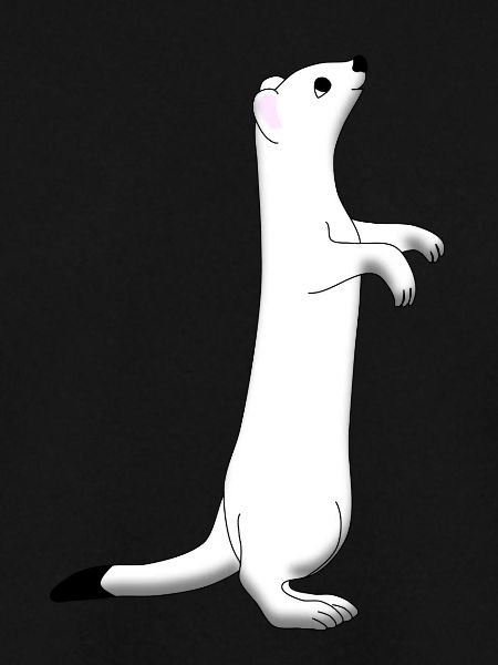 Ermine