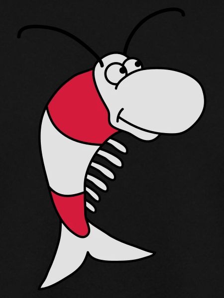 Shrimp