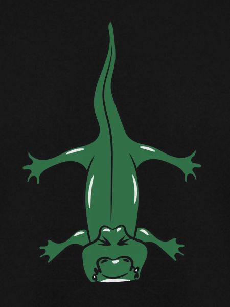 Krokodil Reptil herab