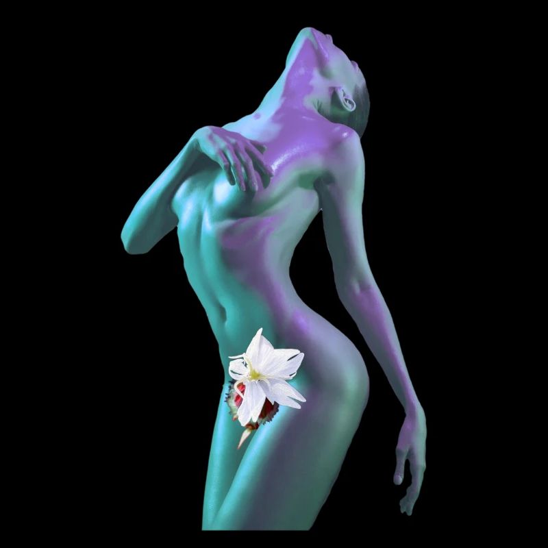 Venus ́ universal climax