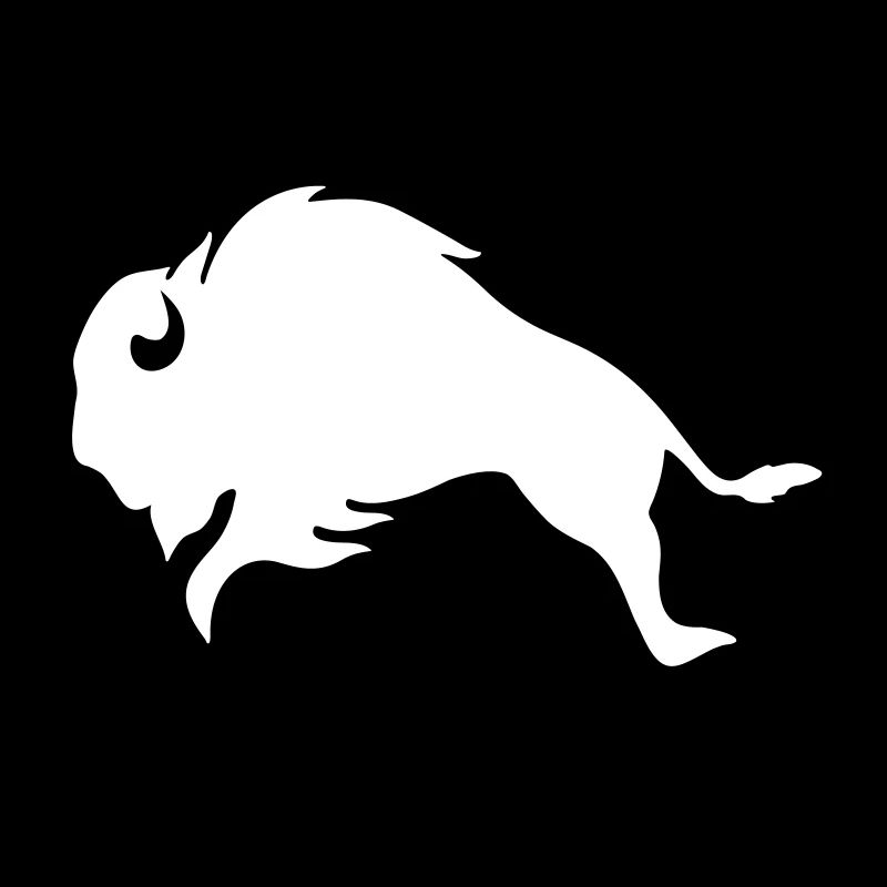 BISON BULL Bufallo