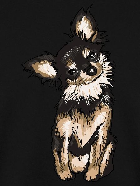 Chihuahua