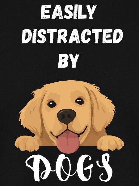 Easily distracted by Dogs