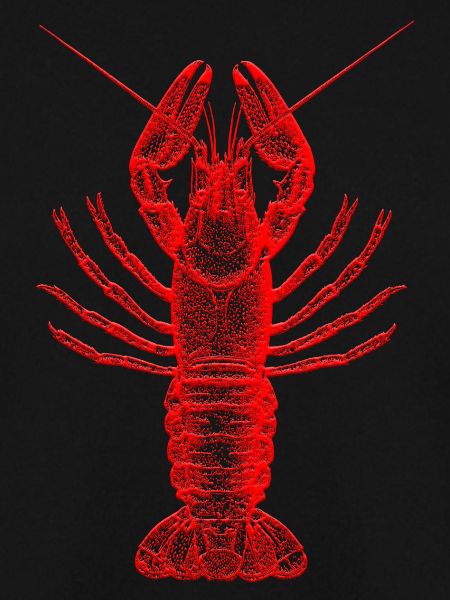 lobster