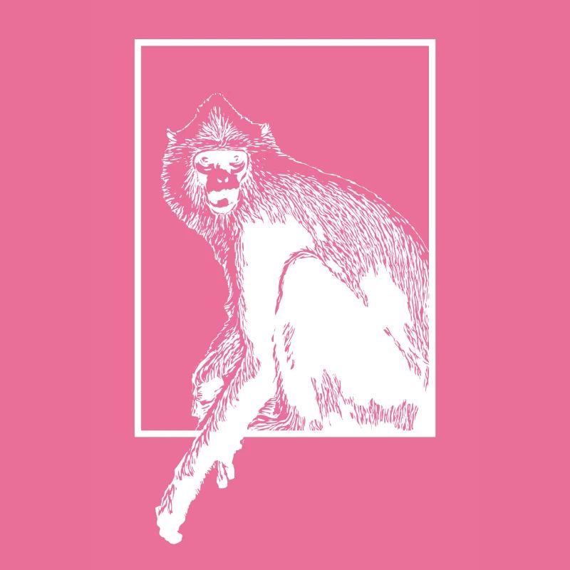 Monkey HanumanLangure