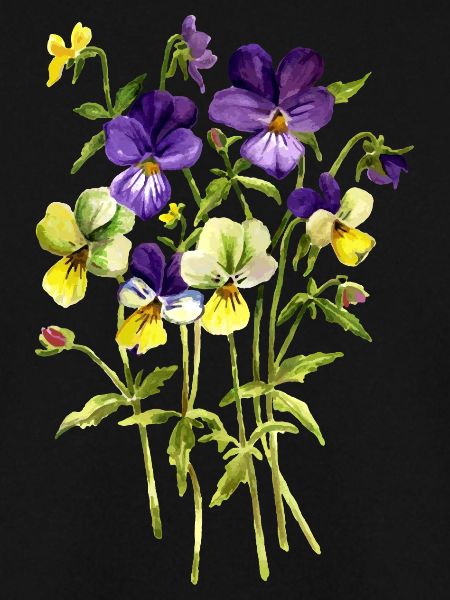 Fleur