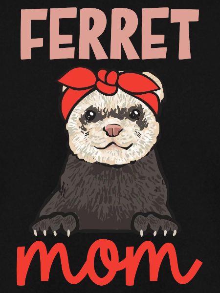 Frettchen Besitzer Frettchen