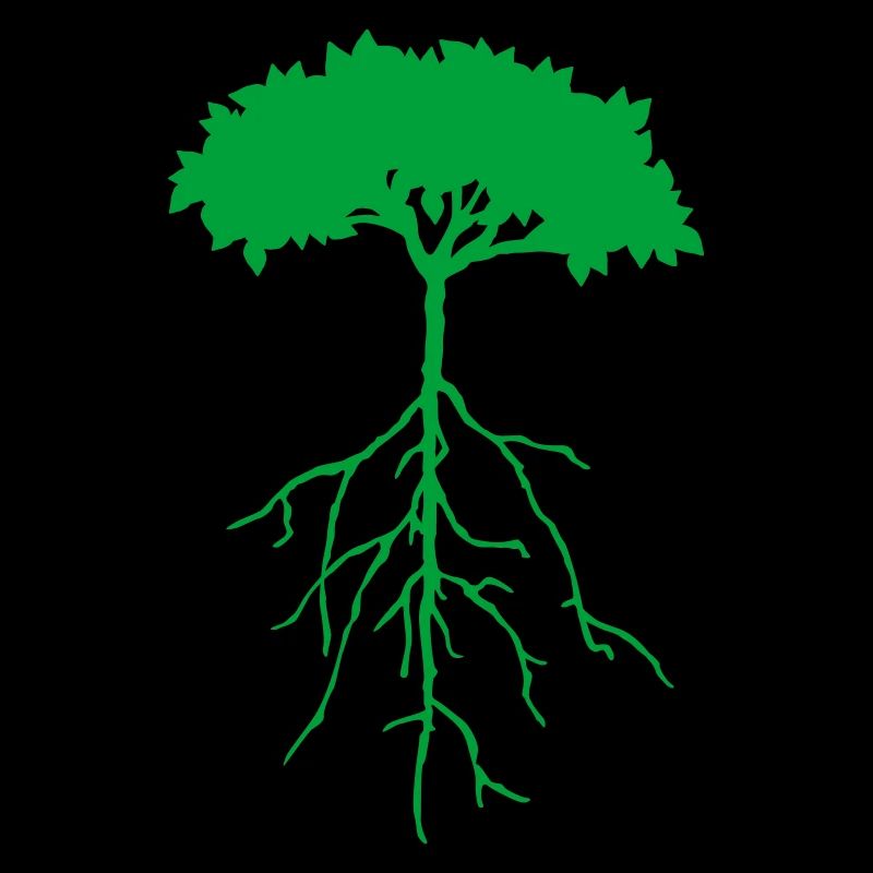 root tree
