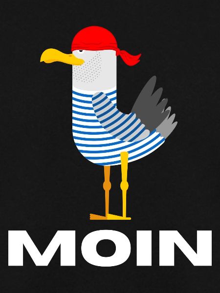 Moin Möwe Deutsch Geschenk