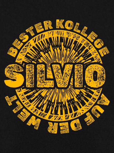 Work Silvio