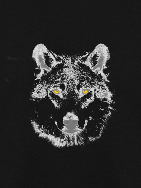 Der Wolf