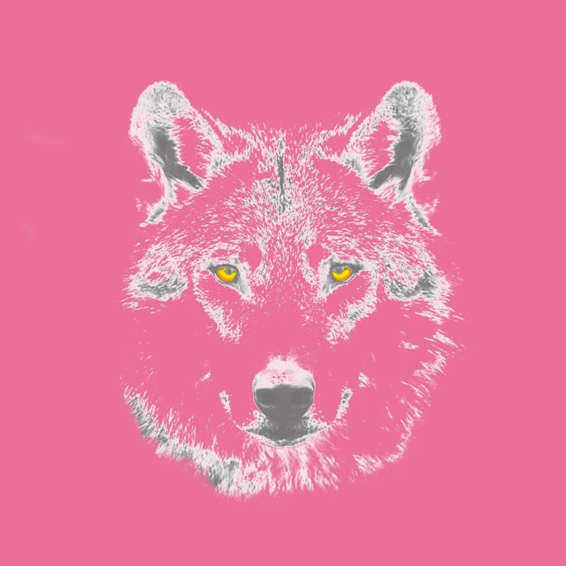 Der Wolf
