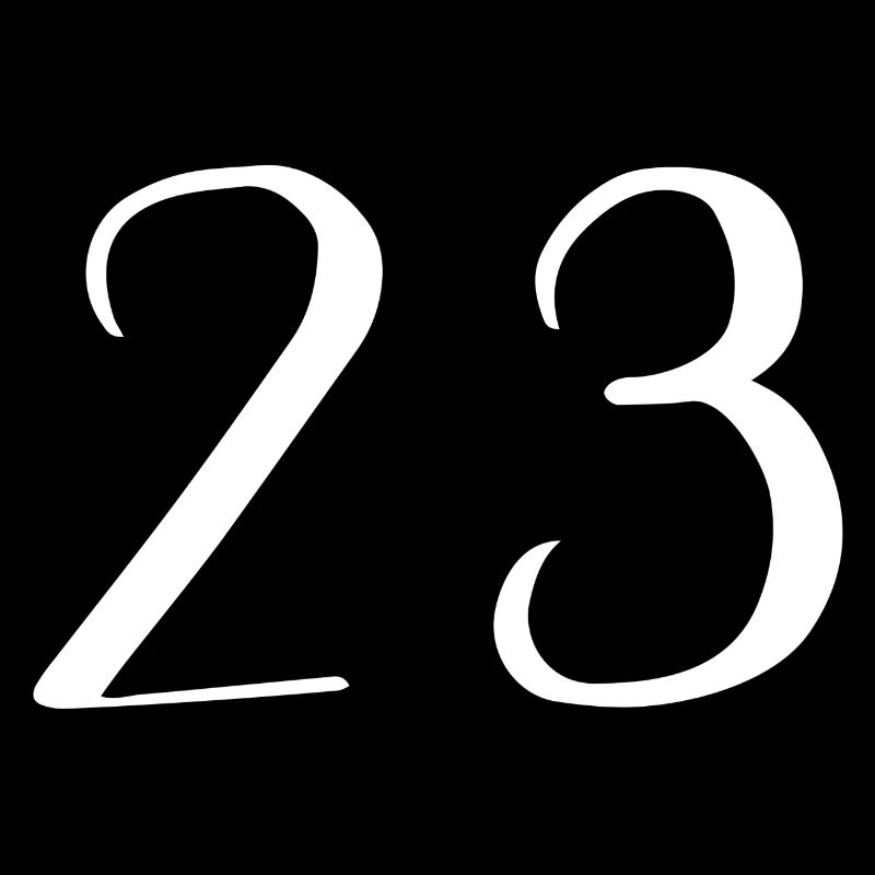 23