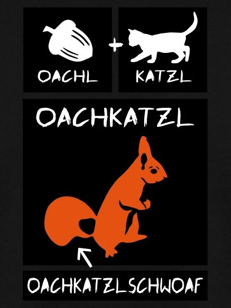 Eichhörnchen - Oachkatzlschwoaf
