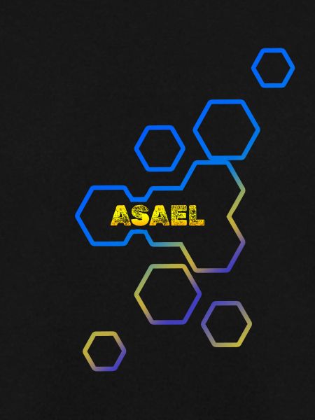Technikfreak Bienenwaben Geschenk Asael