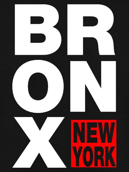 bronx new york