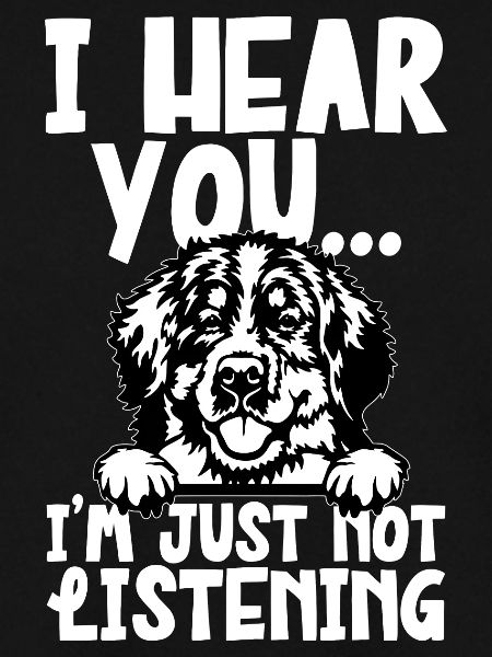 Berner Sennenhund