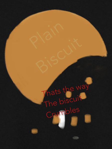 Biscuit