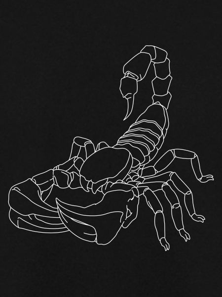 Skorpion Linien