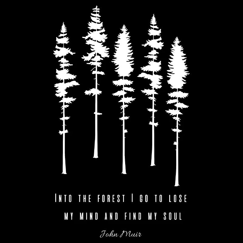 Nadelbäume Zitat John Muir