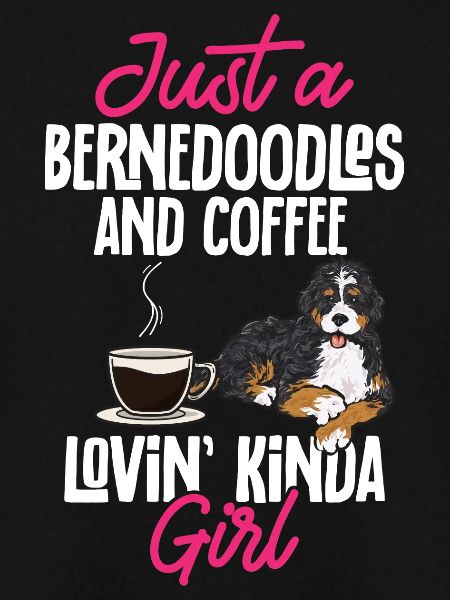 Chien Bernedoodle