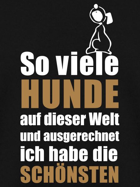die schönsten Hunde