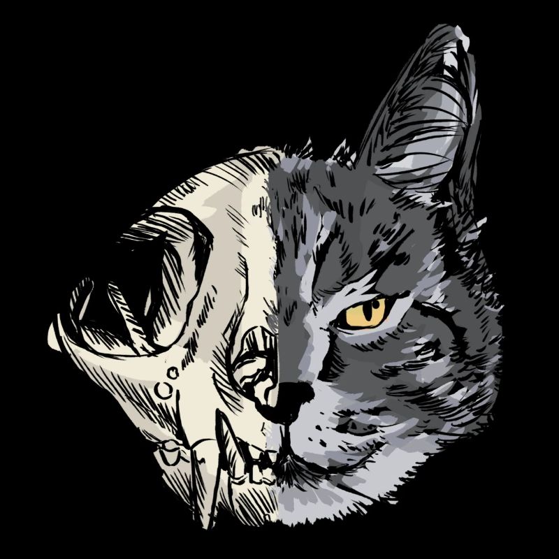 Schrödingers Katze - Dead or Alive