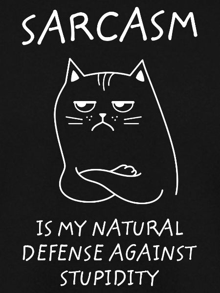 Sarkasmus Dummheit Büroarbeit Katze